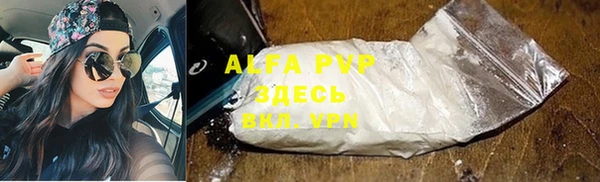 стаф Кулебаки