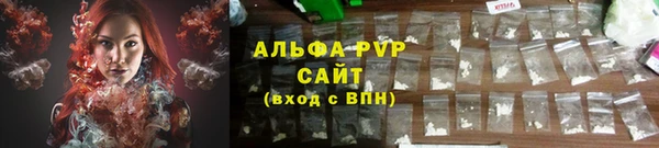 стаф Кулебаки