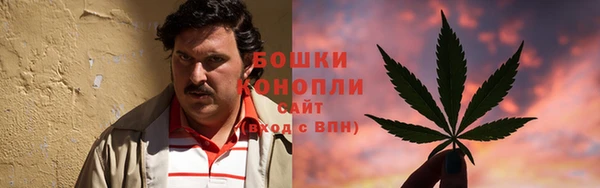 стаф Кулебаки