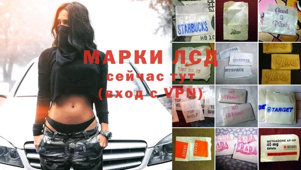 стаф Кулебаки